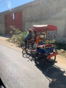 Toliara, Madagascar and Baobap Forest